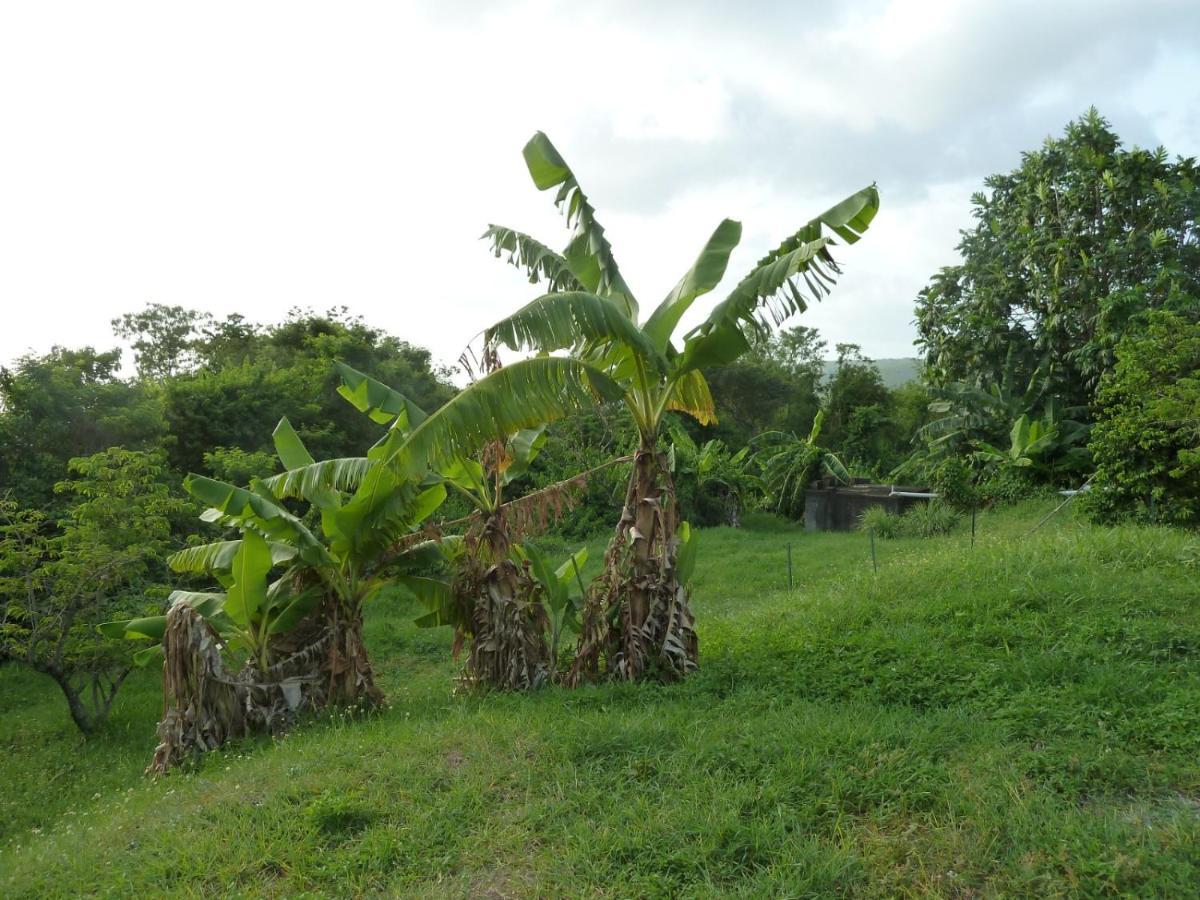 Ferienwohnung Malendure Bay Bouillante Exterior foto